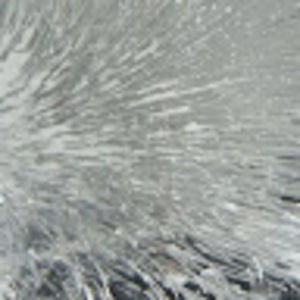 Meet your Posher, Alberto